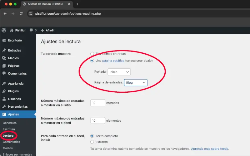 En Lectura para portada seleccionar página estática en ajustes de WordPress