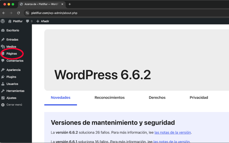 Páginas dentro del panel de administración en WordPress
