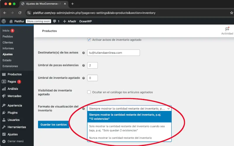 Formato de visualización del inventario de productos de ajustes en WooCommerce