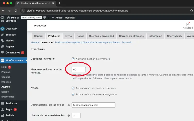 Mantener en inventario de productos de ajustes en WooCommerce