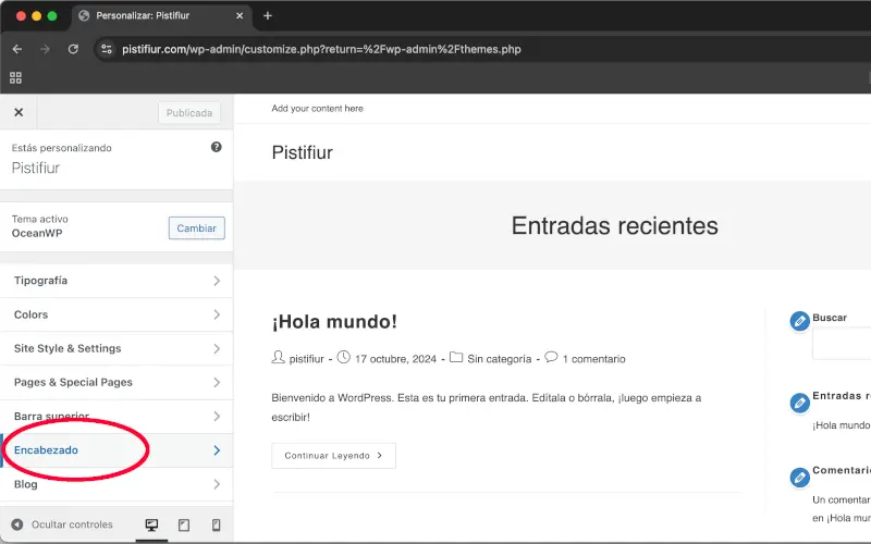 Menú para personalizar el tema en WordPress