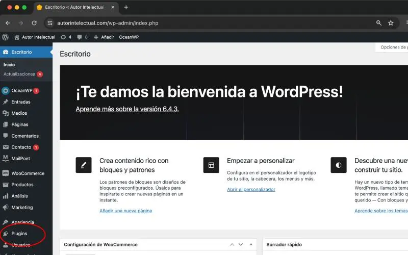 Menú de Plugins en WordPress