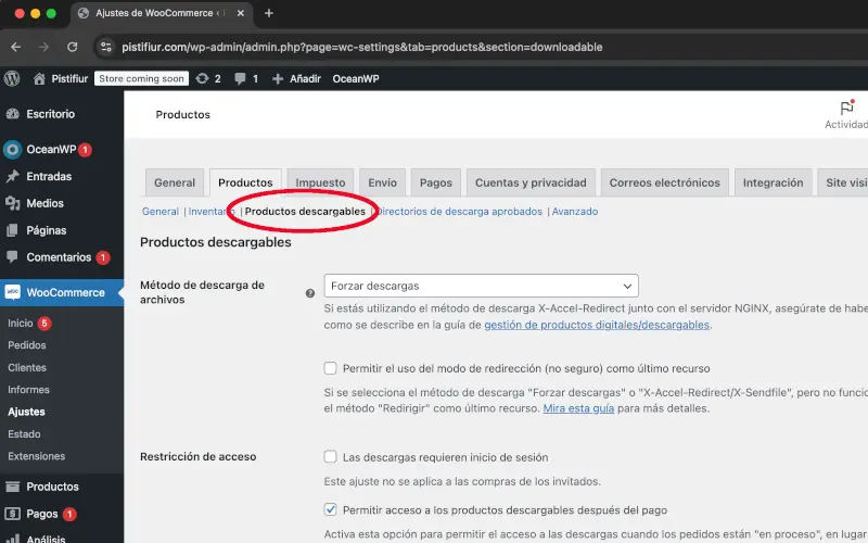 Productos descargables de productos de ajustes en woocommerce