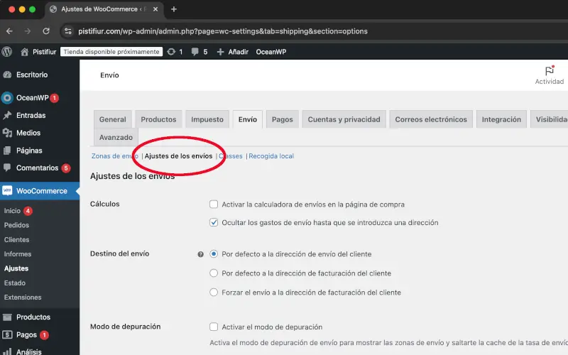 Ajustes de los envíos en Envío en Ajustes en WooCommerce