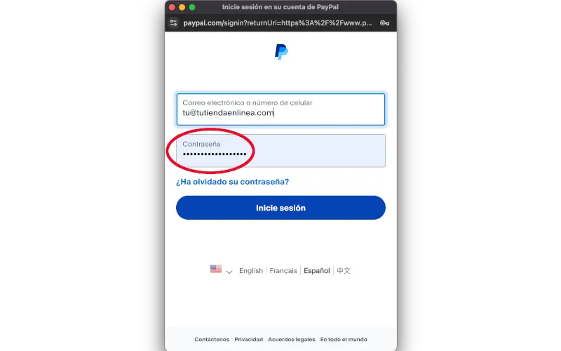 Contraseña de cuenta de PayPal en Pagos en Ajustes en WooCommerce