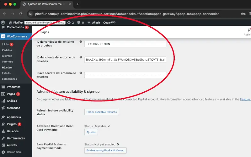 Id. de vendedor, cliente y clave secreta en PayPal en Pagos en Ajustes en WooCommerce