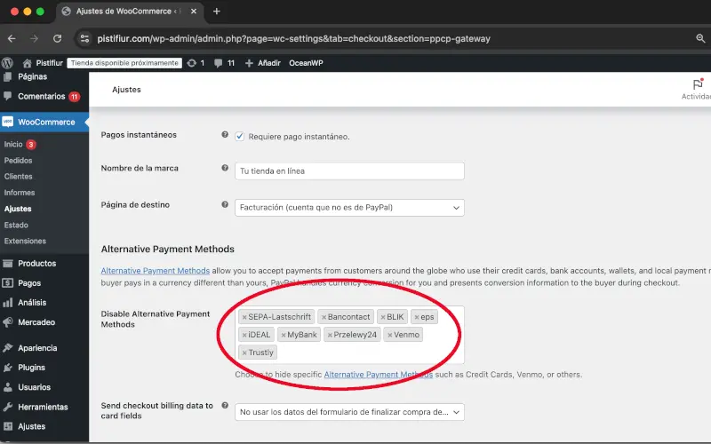Métodos alternativos en PayPal en Pagos en Ajustes en WooCommerce