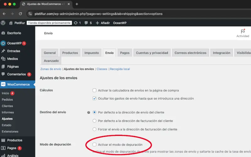 Modo de depuración en Envío en Ajustes en WooCommerce