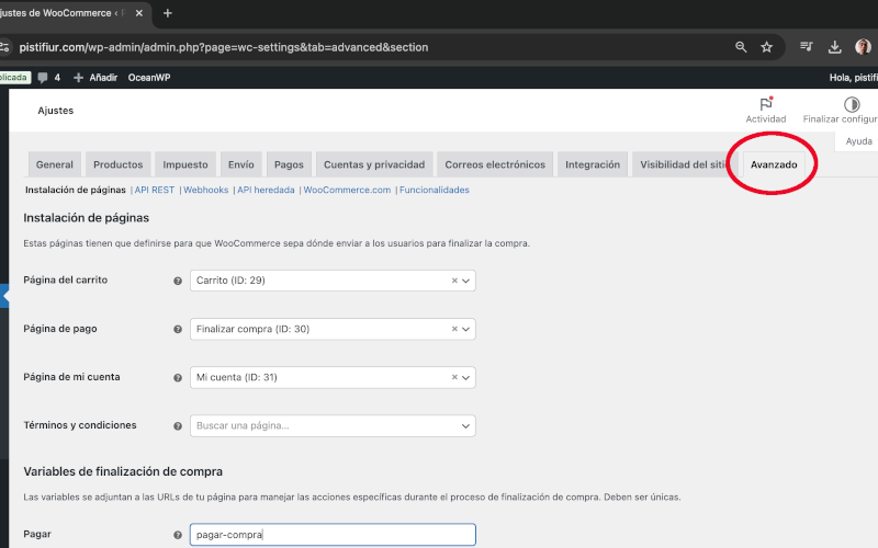 Avanzado en Ajustes en WooCommerce