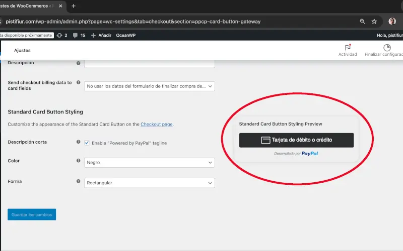 Cambios del botón de tarjetas estándar PayPal en Pagos en Ajustes en WooCommerce