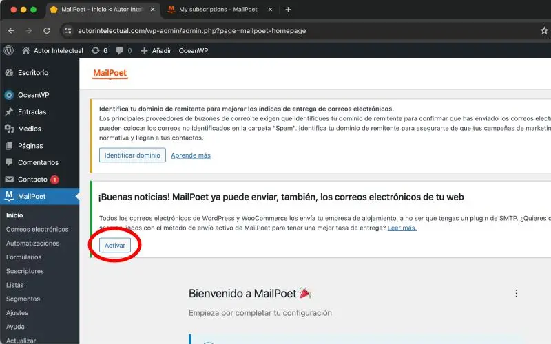 Enviar correos electrónicos en MailPoet en Correos electrónicos en Ajustes en WooCommerce