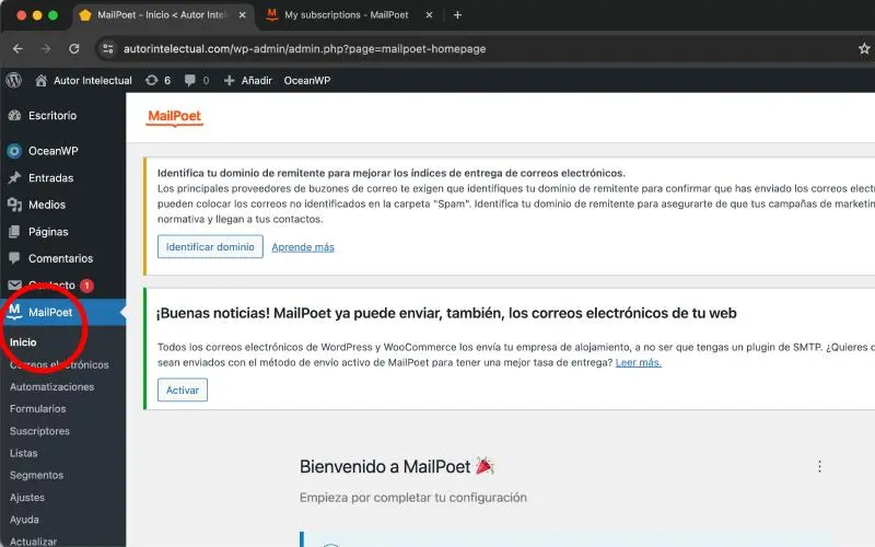 MailPoet menú vertical izquierdo en Correos electrónicos en Ajustes en WooCommerce