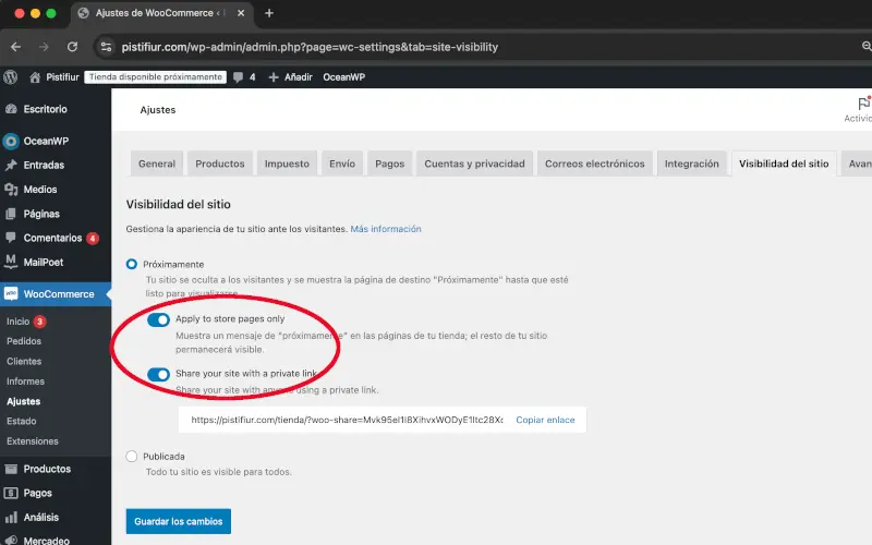 Ocultar tienda en Visibilidad del sitio en Ajustes en WooCommerce