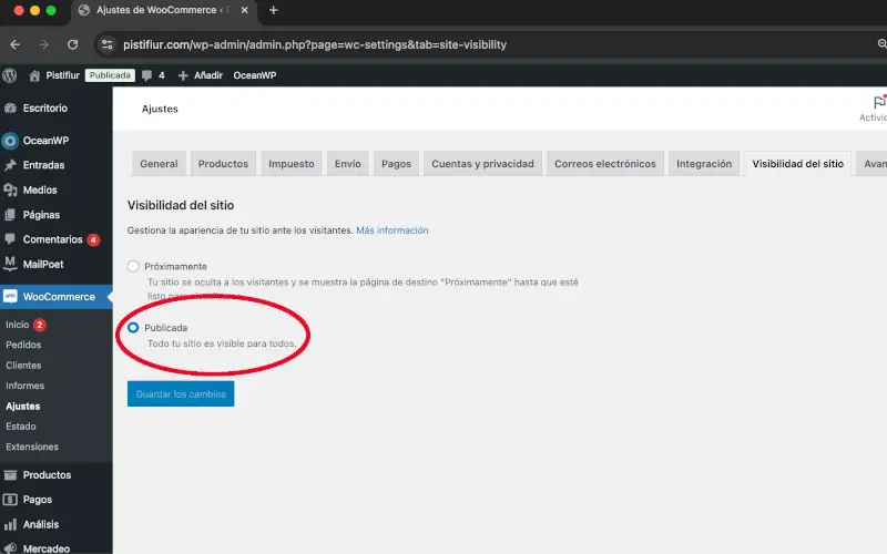 Tienda en línea Publicada en Visibilidad del sitio en Ajustes en WooCommerce