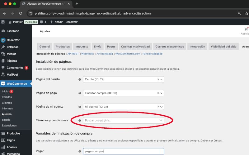 Términos y condiciones en Avanzado en Ajustes en WooCommerce