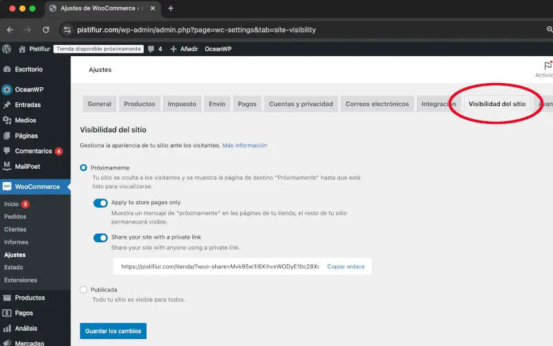 Visibilidad del sitio en Ajustes en WooCommerce