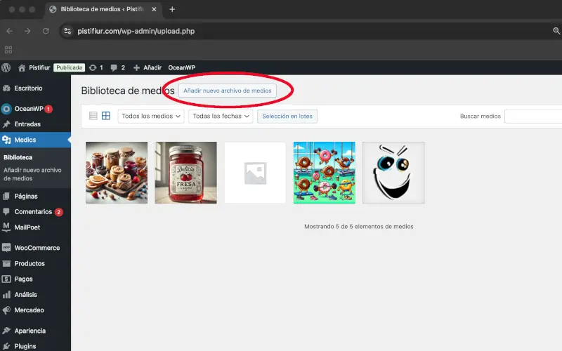 Añadir nuevo archivo de medios en Medios en Panel de administración de WordPress