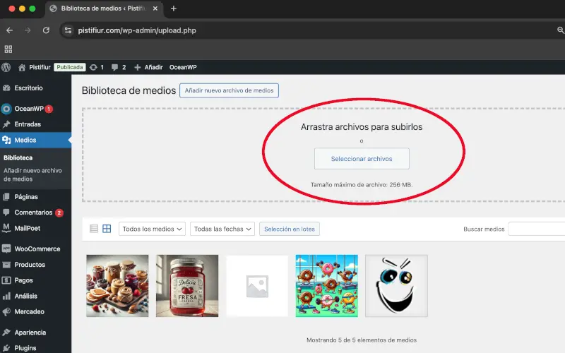 Arrastrar archivos o seleccionar archivos en Medios en Panel de administración de WordPress