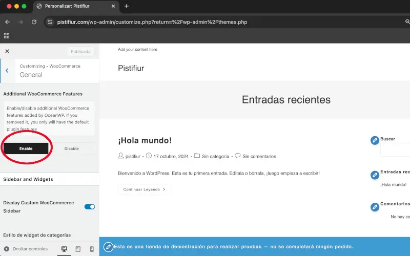 Características adicionales en General en Personalizar en WooCommerce