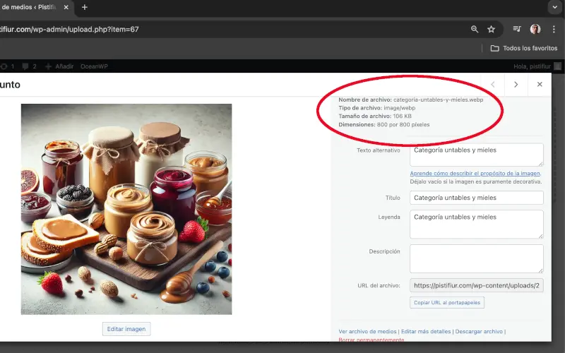 Información del archivos en Medios en Panel de administración de WordPress