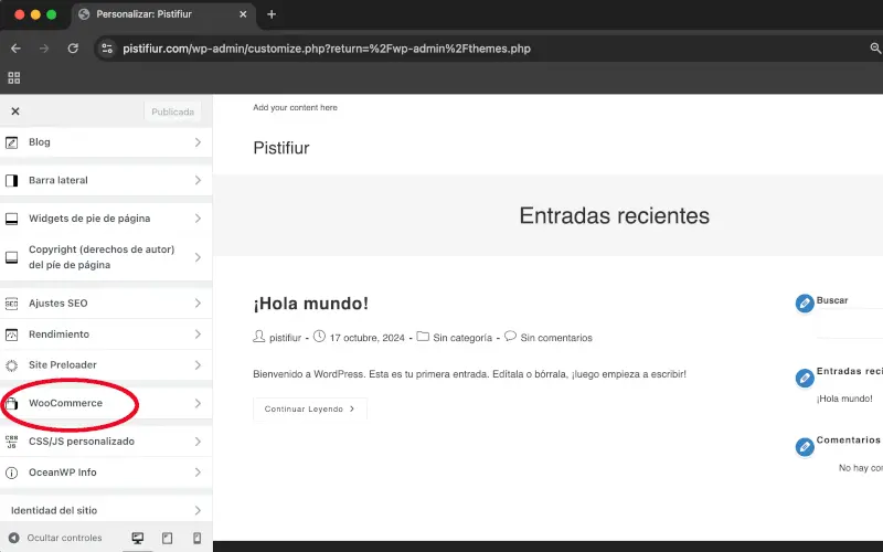 Menú Personalizar WooCommerce