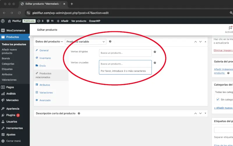 Productos relacionados en Datos del producto en Productos en WooCommerce
